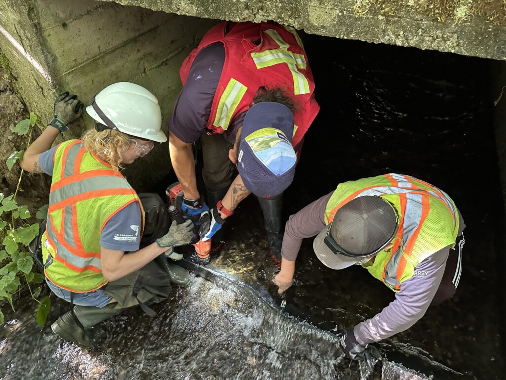 Team of workers in hard hats and high-visibility vests kneel at a dark, water-filled tunnel entrance, inspecting the area.