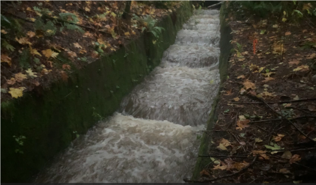 Mossy, concrete water channel in a forest with fast-flowing muddy water and autumn leaves along its edges
