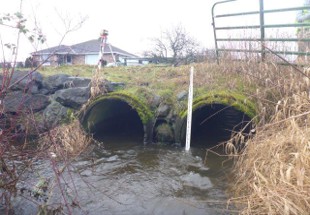 Twin 48-inch culverts at Watercress Creek forming a velocity barrier to fish passage