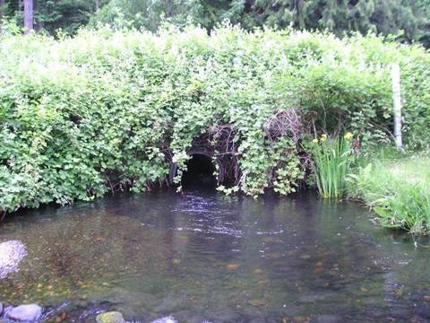 Little Soos Creek 36-inch culvert, a shallow-depth barrier blocking fish passage